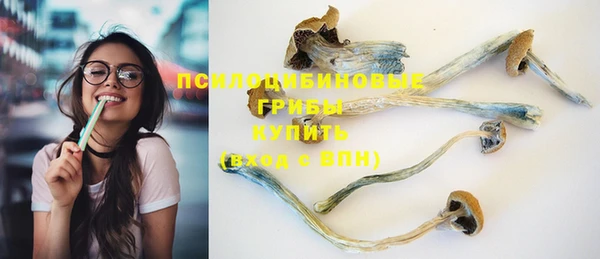 индика Алзамай