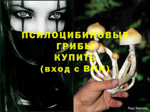 индика Алзамай