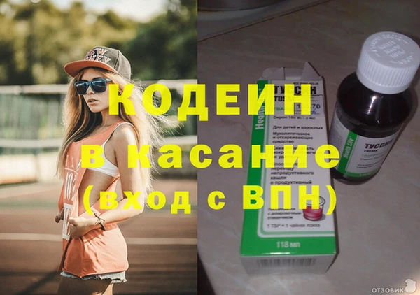 индика Алзамай