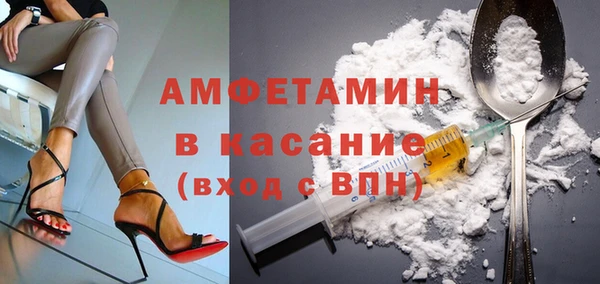 индика Алзамай