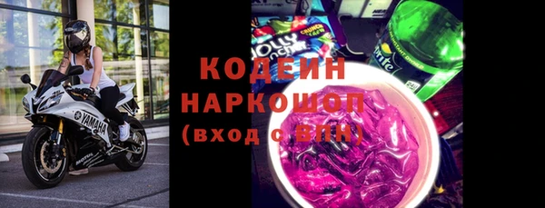 индика Алзамай