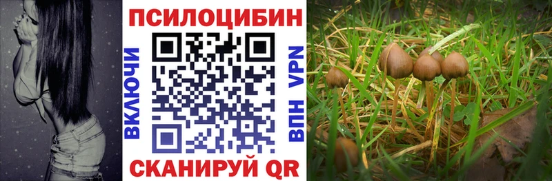 нарко площадка какой сайт  Выкса  Галлюциногенные грибы Magic Shrooms 