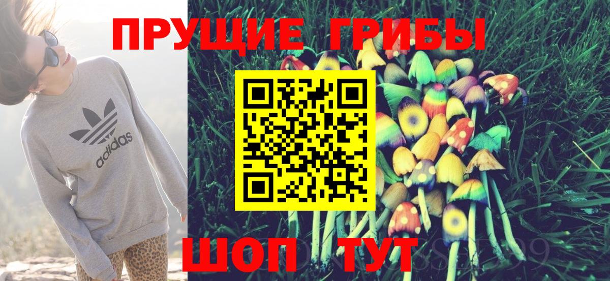 Псилоцибиновые грибы прущие грибы Выкса